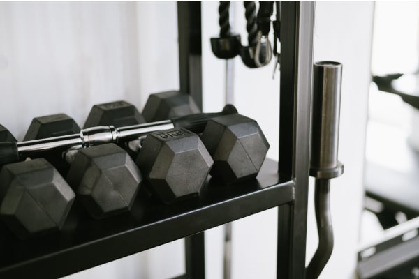 a row of dumbbells in a gym